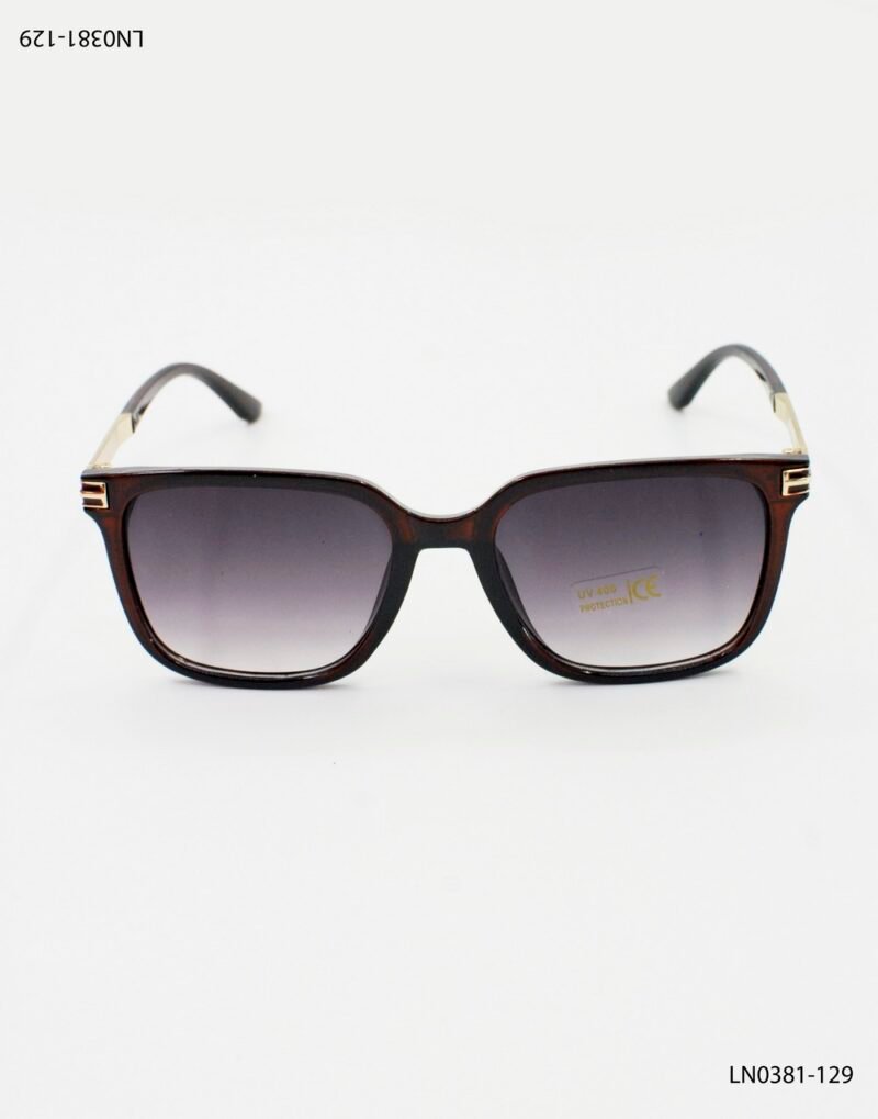 Lentes de sol negros degradé y detalles dorados LN0381