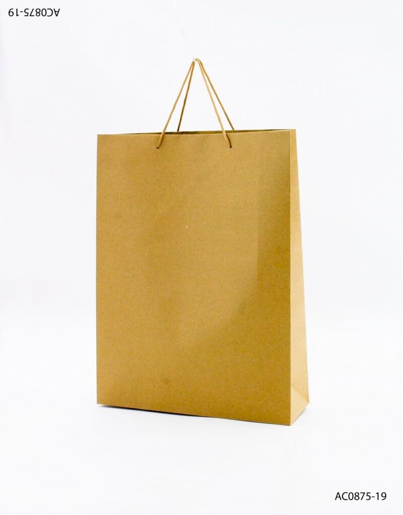 Bolsa de papel kraft con manijas retorcidas AC0875