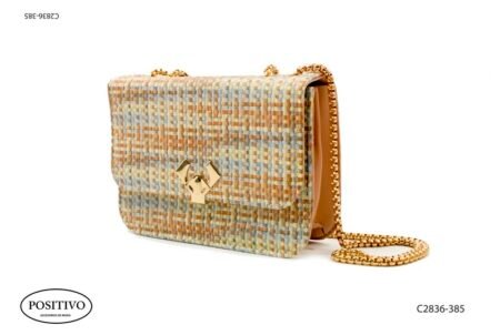 Cartera con broche y cadena C2836
